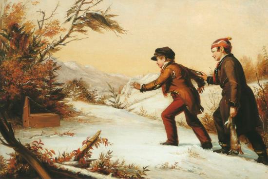 Art Print, , large