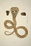 Nagoo, from an Account of Indian Serpents Collected on the Coast of Coromandel, Pub. 1796 (Hand Col-William Skelton-Giclee Print