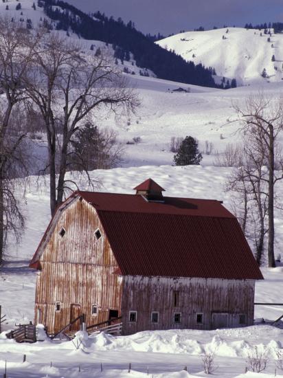Premium Photographic Print, , large
