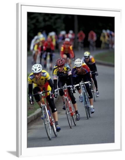 Framed Photographic Print, , large