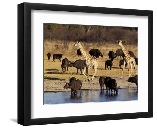 Premium Photographic Print, , large