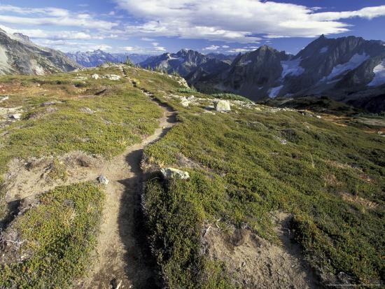 Premium Photographic Print, , large