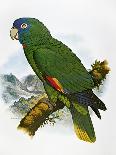 St Lucia Amazon Parrot-William T. Cooper-Giclee Print