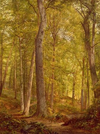 June Woods, Pennsylvania, 1864