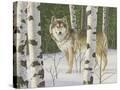 Stretched Canvas
