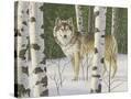 Stretched Canvas