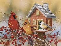 Snowman Feeding Birds-William Vanderdasson-Giclee Print