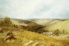 Sheep on the Downs-William W. Gosling-Framed Stretched Canvas