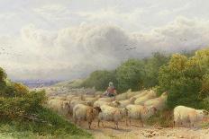 Sheep on the Downs-William W. Gosling-Giclee Print