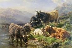 Highland Cattle-William Watson-Framed Stretched Canvas