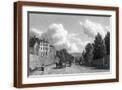 Brown Frame