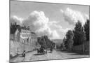 Wood Mount