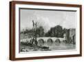 Brown Frame