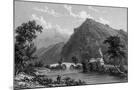 Wood Mount