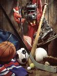 Variety of Sports Equipment-William Whitehurst-Photographic Print