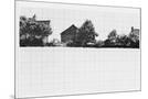 Wood Mount