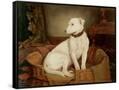 Canvas Black