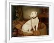 Gramercy White