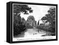 Framed Canvas