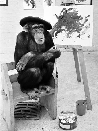 Artist Chimp 1955