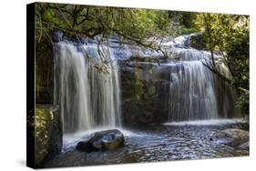 Williams Falls on the Zomba Plateau, Malawi, Africa-Michael Runkel-Stretched Canvas