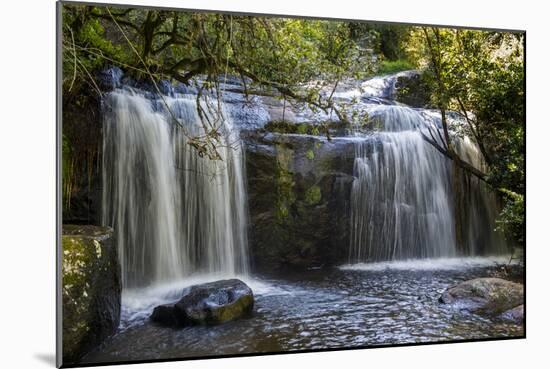 Williams Falls on the Zomba Plateau, Malawi, Africa-Michael Runkel-Mounted Photographic Print