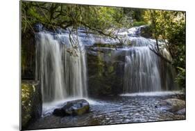 Williams Falls on the Zomba Plateau, Malawi, Africa-Michael Runkel-Mounted Photographic Print