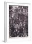 Williams Triumphant Procession to Whitehall Ad 1697-Walter Stanley Paget-Framed Giclee Print