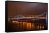 Williamsburg Bridge at Night from Brooklyn Photo Poster-null-Framed Stretched Canvas