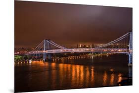 Williamsburg Bridge at Night from Brooklyn Photo Poster-null-Mounted Poster