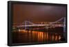 Williamsburg Bridge at Night from Brooklyn Photo Poster-null-Framed Poster