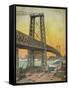 Williamsburg Bridge, New York, USA-null-Framed Stretched Canvas