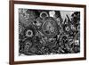 Williamsburg Brooklyn Psychedelic Graffiti B&W-null-Framed Photo