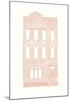 Williamsburg Building 3 (Queen Anne)-live from bklyn-Mounted Art Print