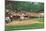 Williamsport, Pennsylvania - Kids Playing Little League Baseball-Lantern Press-Mounted Art Print