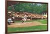 Williamsport, Pennsylvania - Kids Playing Little League Baseball-Lantern Press-Framed Art Print