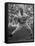 Willie Mays-Alfred Eisenstaedt-Framed Stretched Canvas