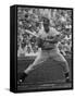 Willie Mays-Alfred Eisenstaedt-Framed Stretched Canvas