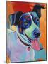 Willie Terrier Dog-Corina St. Martin-Mounted Giclee Print