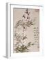 Willow and Peach Blossoms-Li Shan-Framed Giclee Print