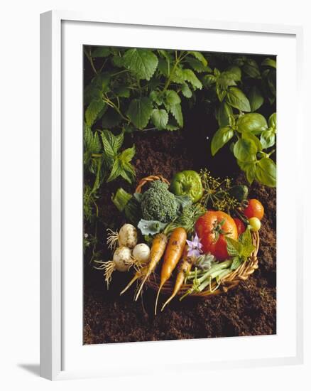 Willow Basket of Fresh Vegetables and Borage Flowers-Walter Cimbal-Framed Photographic Print