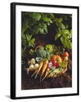 Willow Basket of Fresh Vegetables and Borage Flowers-Walter Cimbal-Framed Photographic Print