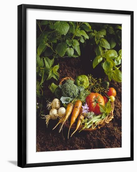 Willow Basket of Fresh Vegetables and Borage Flowers-Walter Cimbal-Framed Photographic Print