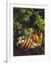 Willow Basket of Fresh Vegetables and Borage Flowers-Walter Cimbal-Framed Photographic Print