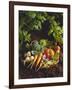 Willow Basket of Fresh Vegetables and Borage Flowers-Walter Cimbal-Framed Photographic Print