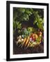 Willow Basket of Fresh Vegetables and Borage Flowers-Walter Cimbal-Framed Photographic Print