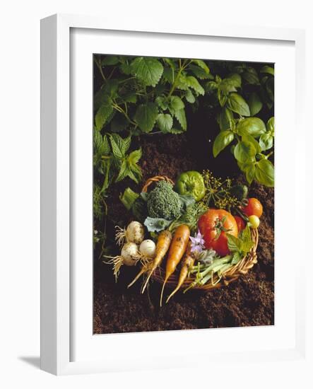 Willow Basket of Fresh Vegetables and Borage Flowers-Walter Cimbal-Framed Photographic Print