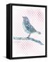 Willow Bird-null-Framed Stretched Canvas