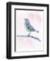 Willow Bird-null-Framed Premium Giclee Print