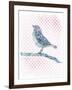 Willow Bird-null-Framed Giclee Print